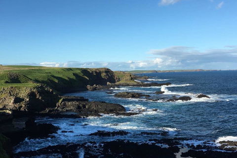 Adrift At Ventnor On Phillip Island, Pets - Accommodation Noosa 1