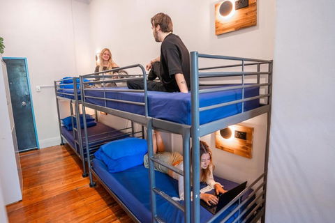 Mad Monkey East Side - Accommodation Noosa 1