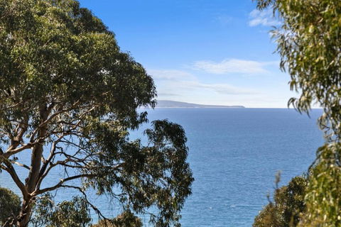 Maddlyn - Accommodation Noosa 1