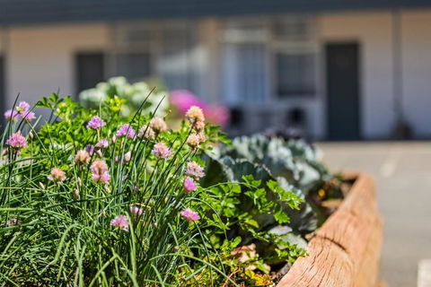 Maffra Motor Inn - Accommodation Noosa 3