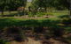 Manderley Park Farmstay B&B - thumb 1