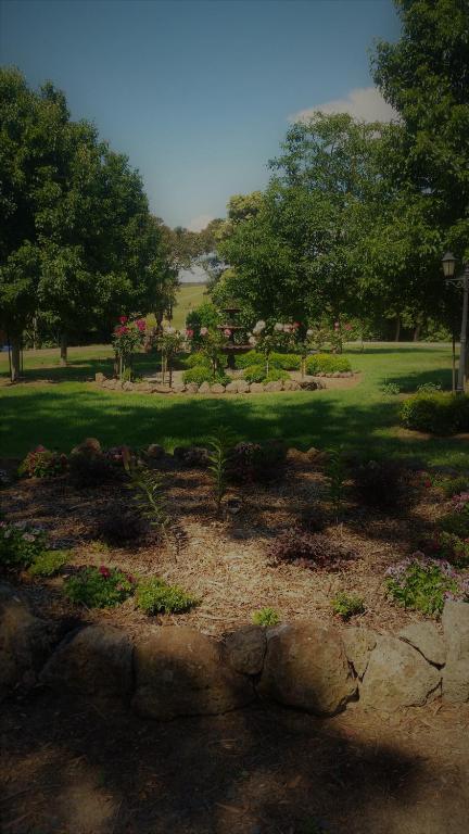 Manderley Park Farmstay B&B - Accommodation Noosa 1