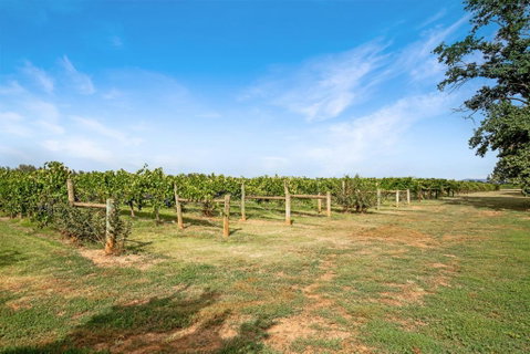 Milawa Vineyard Views - Guesthouse 2 - Accommodation Noosa 0