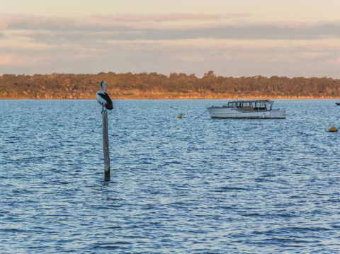 Modern Dawesville Foreshore Family Escape With Views - Accommodation Noosa 3