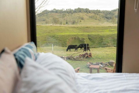 On The Rocks By Tiny Away - Accommodation Noosa 2