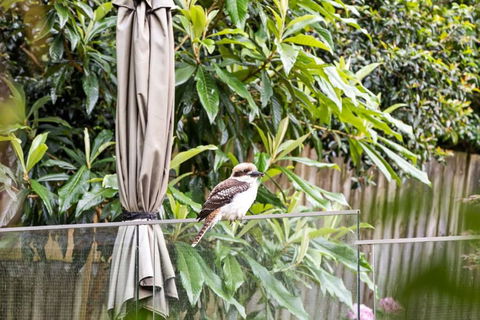 Quaint Queen Room - Central Location At Pymble - Shared Bathroom - Accommodation Noosa 1
