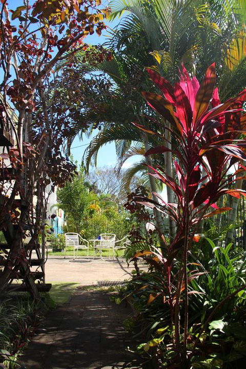 Asylum Cairns Hostel - Accommodation Noosa 0