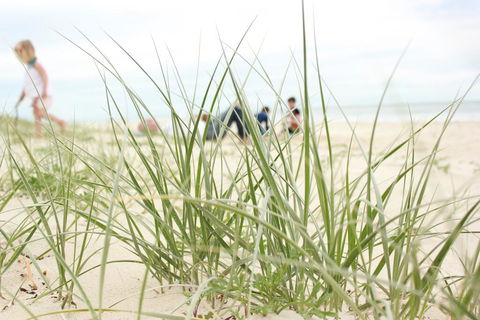 Beachfront At Bribie 2 Puppy Friendly - Accommodation Noosa 3