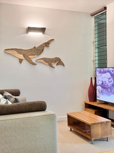 Restful rainforest retreat mins from Hastings st 9407