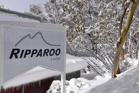 Ripparoo Lodge - Accommodation Noosa 0