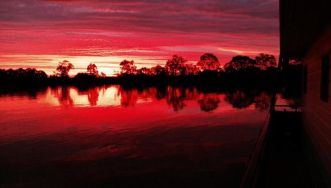 Rivershack Pet Friendly - Accommodation Noosa 3