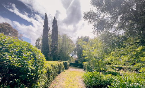 Sanctuary Park Cottages - Accommodation Noosa 1