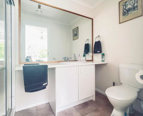 Sanctuary Park Cottages - Accommodation Noosa 2