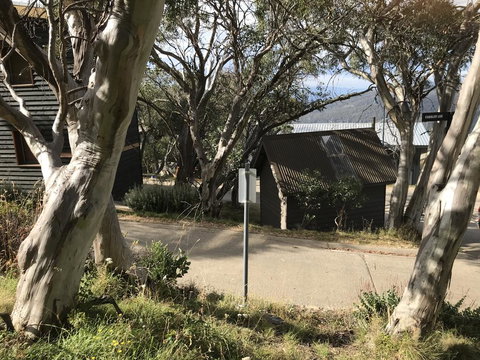 Beehive 18 - Accommodation Noosa 1