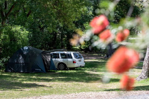Belair National Park Holiday Park - Accommodation Noosa 0