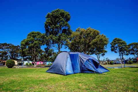 BIG4 Traralgon Park Lane Holiday Park - Accommodation Noosa 2