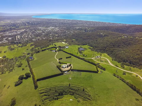 Blue Range Estate Villas - Accommodation Noosa 2