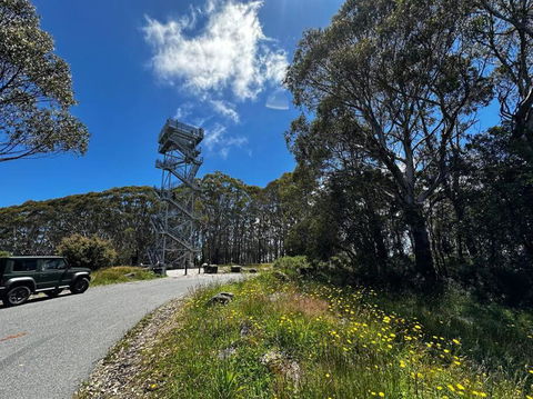 Tiny House At Gilderoy Valley Views - Accommodation Noosa 1