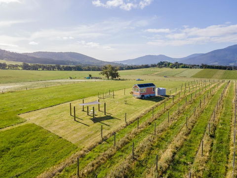 Warburton Tiny House - Tiny Stays - Accommodation Noosa 2