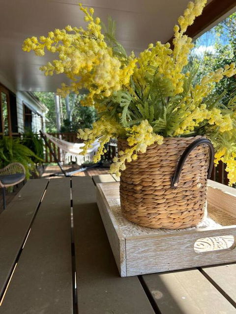 Wattle Bush Retreat - Accommodation Noosa 1