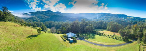 Wilderberry Cottage - Accommodation Noosa 1