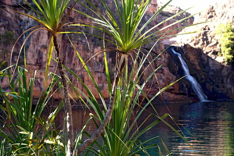 3-Day Kakadu 4WD Camping Safari From Darwin - Accommodation Noosa 2