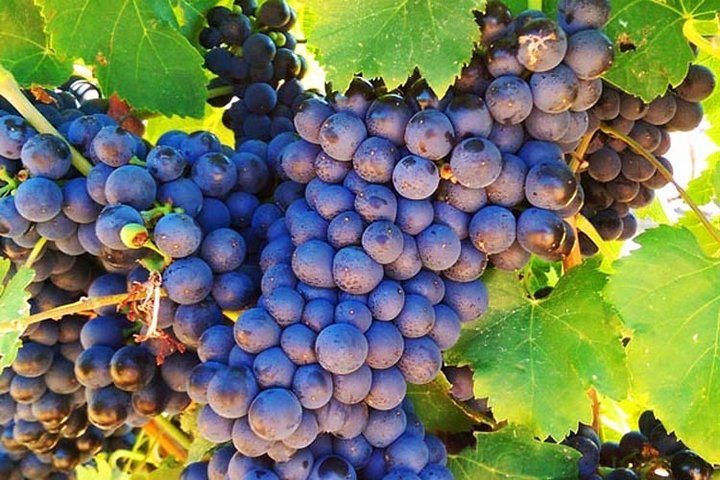 City Delivery Centre WA Accommodation Noosa