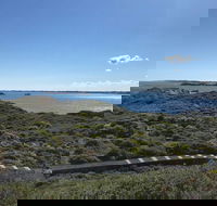 Penguin Island And Fremantle - Canoe Chocolate  Coffee - Accommodation Noosa