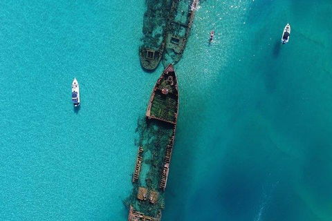 Cruise In Moreton Bay Marine Park And Moreton Island - Accommodation Noosa 1