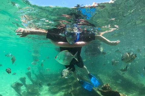 Cruise In Moreton Bay Marine Park And Moreton Island - Accommodation Noosa 5