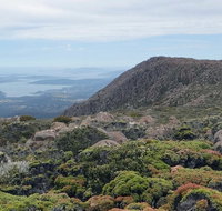 kunanyi/Mt Wellington Explorer Bus - One Way Tour - Accommodation Noosa