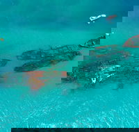 Private Tangalooma Wrecks Tour - Accommodation Noosa