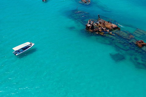 Private Tangalooma Wrecks Tour - Accommodation Noosa 4