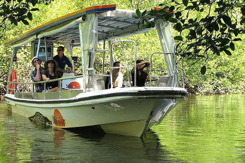 5-Day Best Of Cairns With Daintree, Kuranda, And Great Barrier Reef - Accommodation Noosa 1