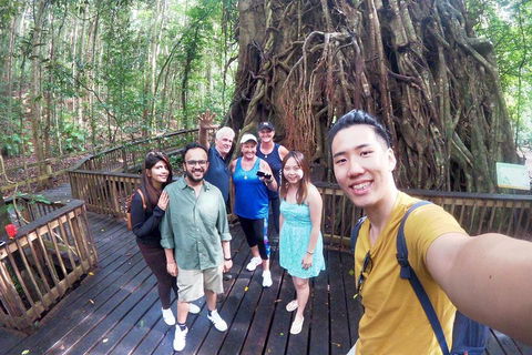 Cairns 4WD Waterfall And Rainforest Tour Including Kuranda Scenic Railway - Accommodation Noosa 0