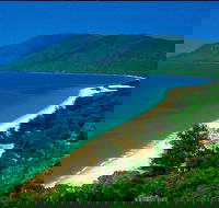 Cairns Reef and Rainforest Combo Daintree Rainforest and the Great Barrier Reef - Accommodation Noosa