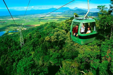 4-Day Cairns Ultimate Combo: Daintree Rainforest, Reef, Kuranda & Paronella Park - Accommodation Noosa 1