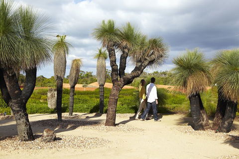 1 Day Exclusively Private Tour Of Phillip Island & The Penguin Parade - Accommodation Noosa 0