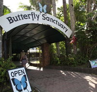 Kuranda Day Trip from Port Douglas upgrade to Skyrail  Scenic train available - Accommodation Noosa