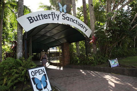 Kuranda Day Trip From Port Douglas Upgrade To Skyrail & Scenic Train Available - Accommodation Noosa 0