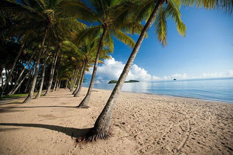 Kuranda Day Trip From Port Douglas Upgrade To Skyrail & Scenic Train Available - Accommodation Noosa 1
