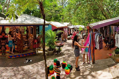 Kuranda Day Trip From Port Douglas Upgrade To Skyrail & Scenic Train Available - Accommodation Noosa 2