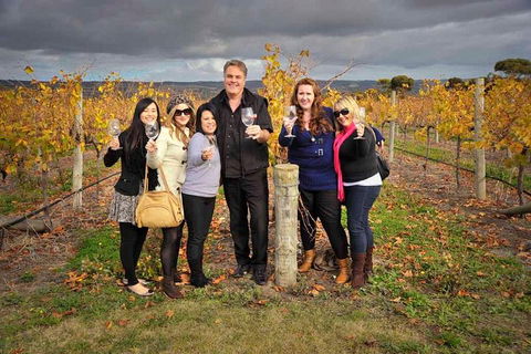 McLaren Vale Winery Small Group Tour With Wine Tasting And Lunch - Accommodation Noosa 3