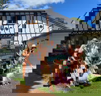 Mt Tamborine ScenicRim Deluxe Wine Tasting and Sightseeeing Tour - Accommodation Noosa