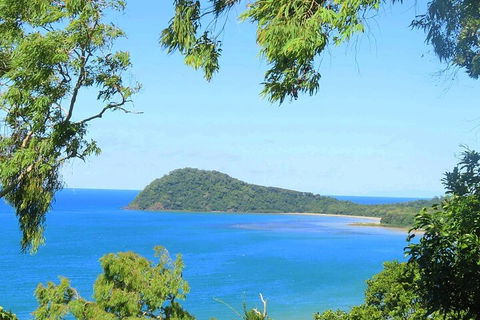 Full Day Tour In The Daintree - Accommodation Noosa 1