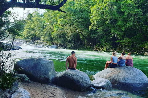 Afternoon Half-Day Daintree Rainforest And River Tour - Accommodation Noosa 0