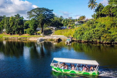 Afternoon Half-Day Daintree Rainforest And River Tour - Accommodation Noosa 1