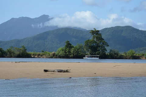 Afternoon Half-Day Daintree Rainforest And River Tour - Accommodation Noosa 2