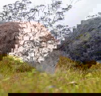 3-Day Cradle Mountain Photography Workshop - Accommodation Noosa