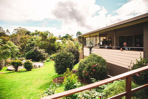 Full-day Springbrook National Park Tour From The Gold Coast - Accommodation Noosa 2